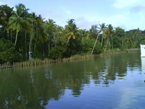 Речные заводи штата Керала